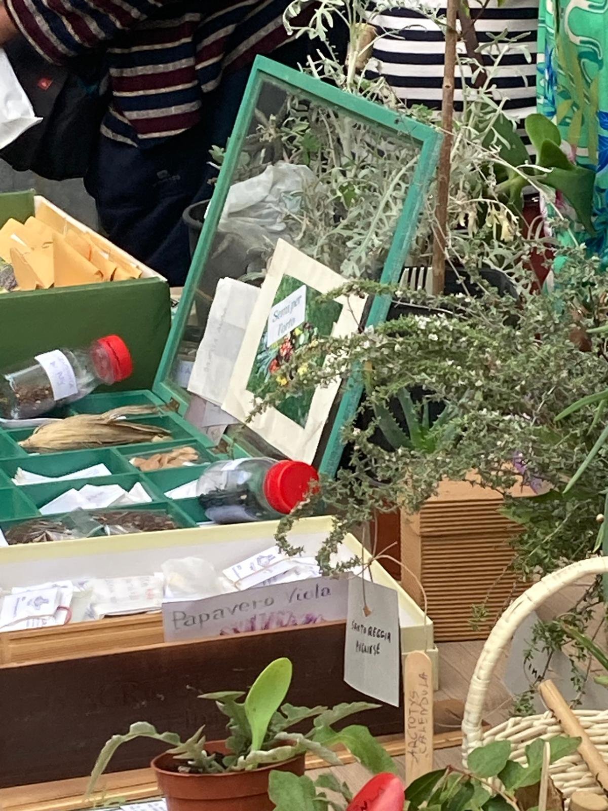 Metti un VENERDI’ al Museo con A.Di.P.A. Sezione Puglia