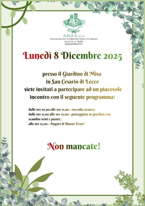 8 dicembre nel giardino di Maria Luisa con A.Di.P.A Sezione Puglia