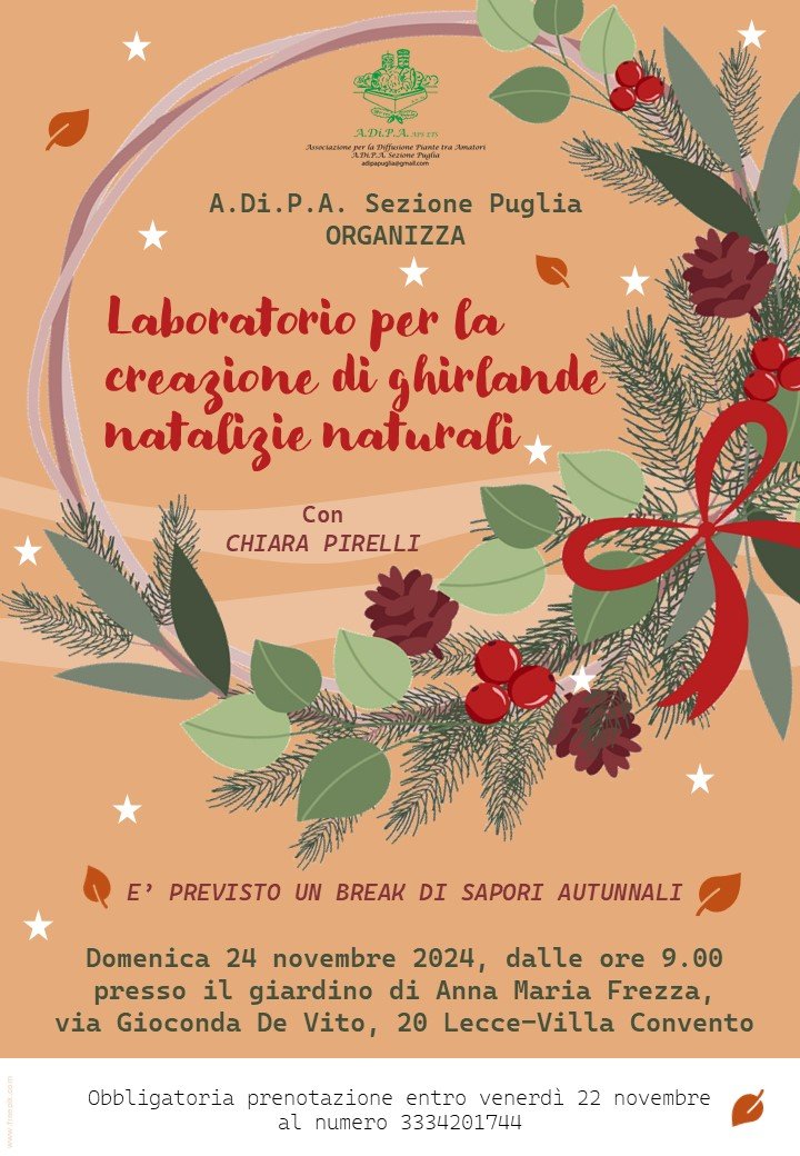 A.Di.P.A. Sezione Puglia…creatività in giardino, aspettando il NATALE!