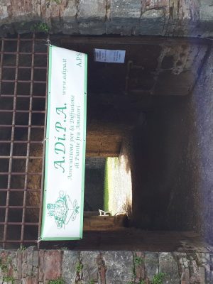 A.Di.P.A. Sede Centrale Lucca – Mostra-Scambio di primavera 2023!!!