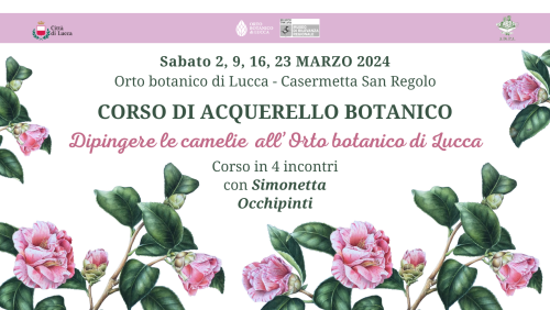 Dipingere le Camelie all’Orto botanico di Lucca