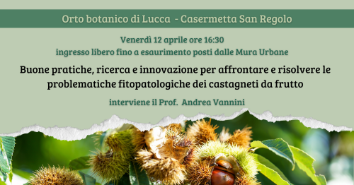 Fitopatologie del castagno a cura del Prof. Andrea Vannini