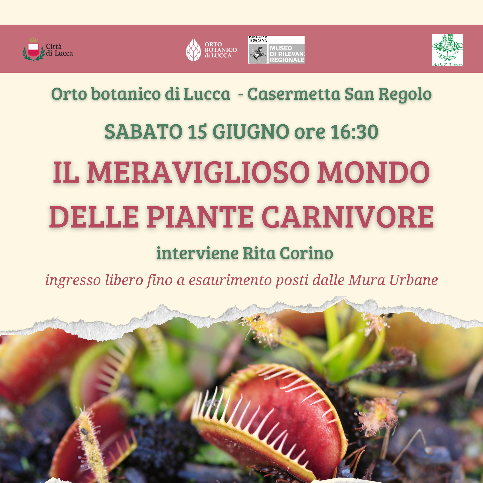 “Il meraviglioso mondo delle “PIANTE CARNIVORE”