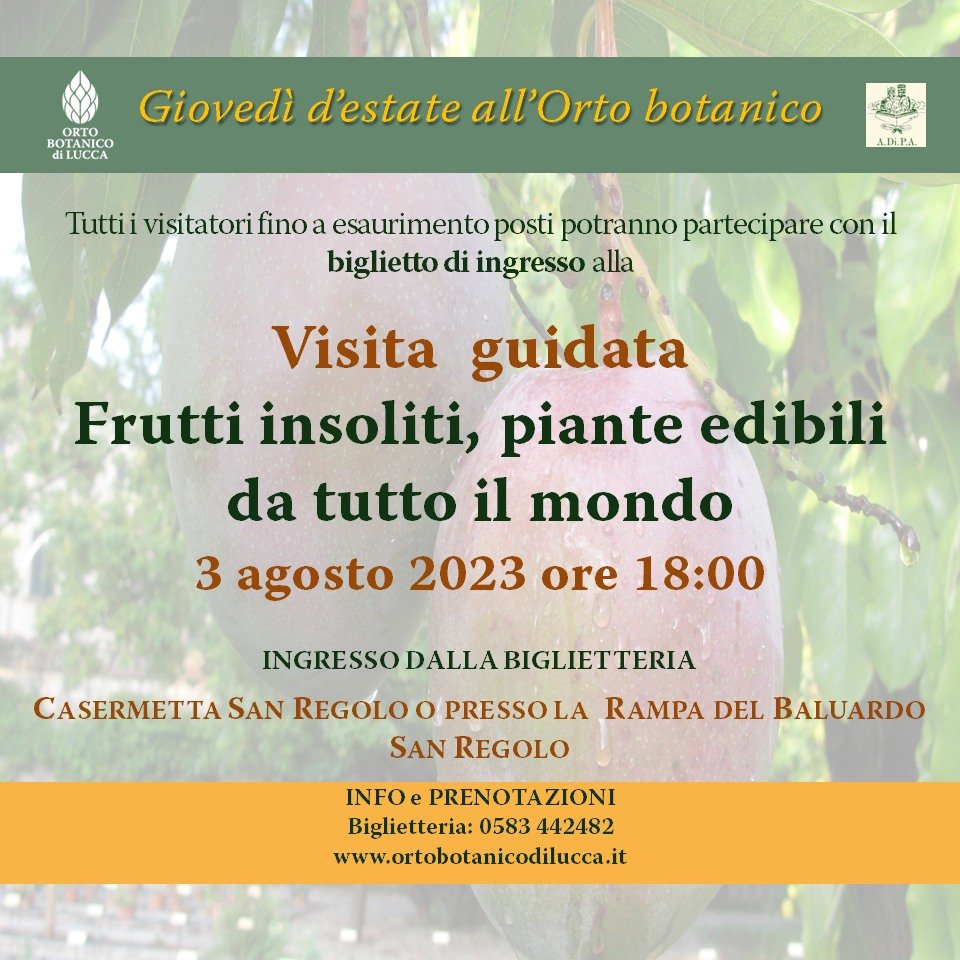 Frutti insoliti, piante edibili da tutto il mondo – visita guidata