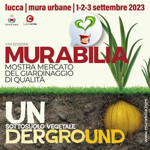 MURABILIA 2023: grande successo per A.Di.P.A.!