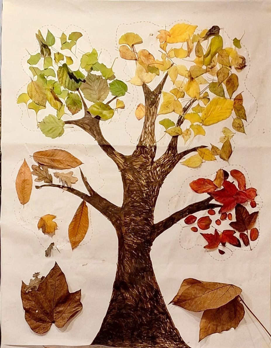 A.Di.P.A. Sede Centrale festeggia la “Giornata Nazionale degli Alberi”