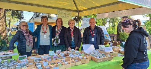 A.Di.P.A. Sede Centrale: cronache da VERDEMURA 2025