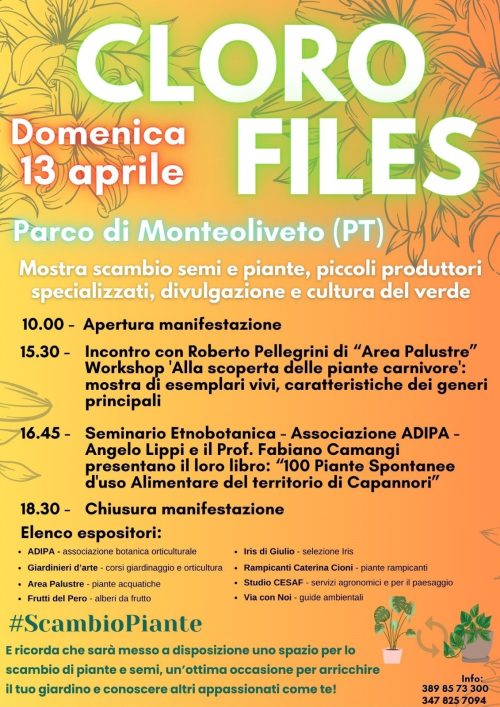 A.Di.P.A. Sede Centrale a CLORO FILES