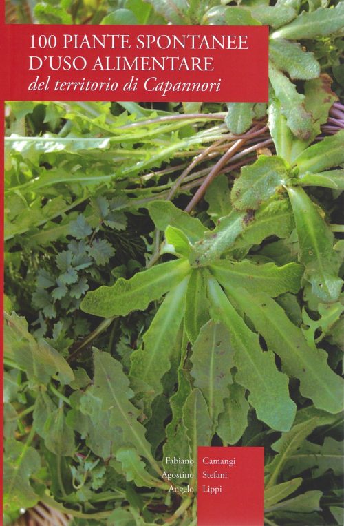 100 Piante spontanee di uso alimentare del territorio di Capannori