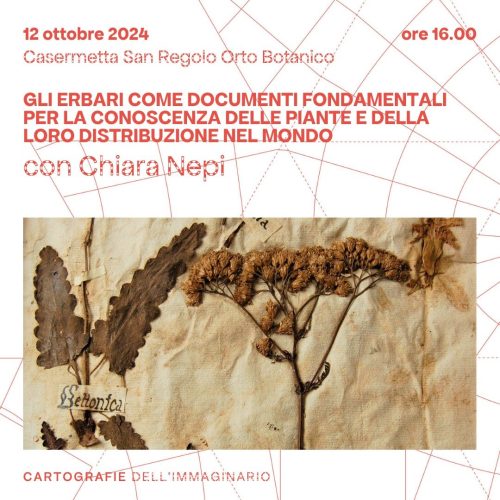 Cartografie dell’Immaginario: ERBARI a cura di Chiara Nepi