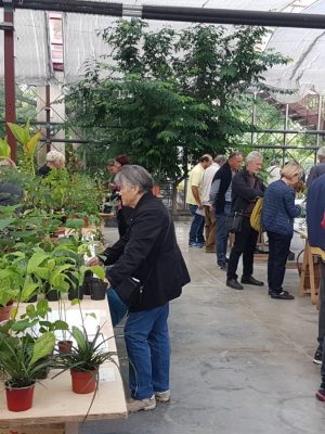 Mostra scambio 6 ottobre 2019 – Orto Botanico Lucca