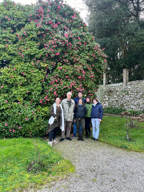 Le Camelie di Villa Nardi a Lucca