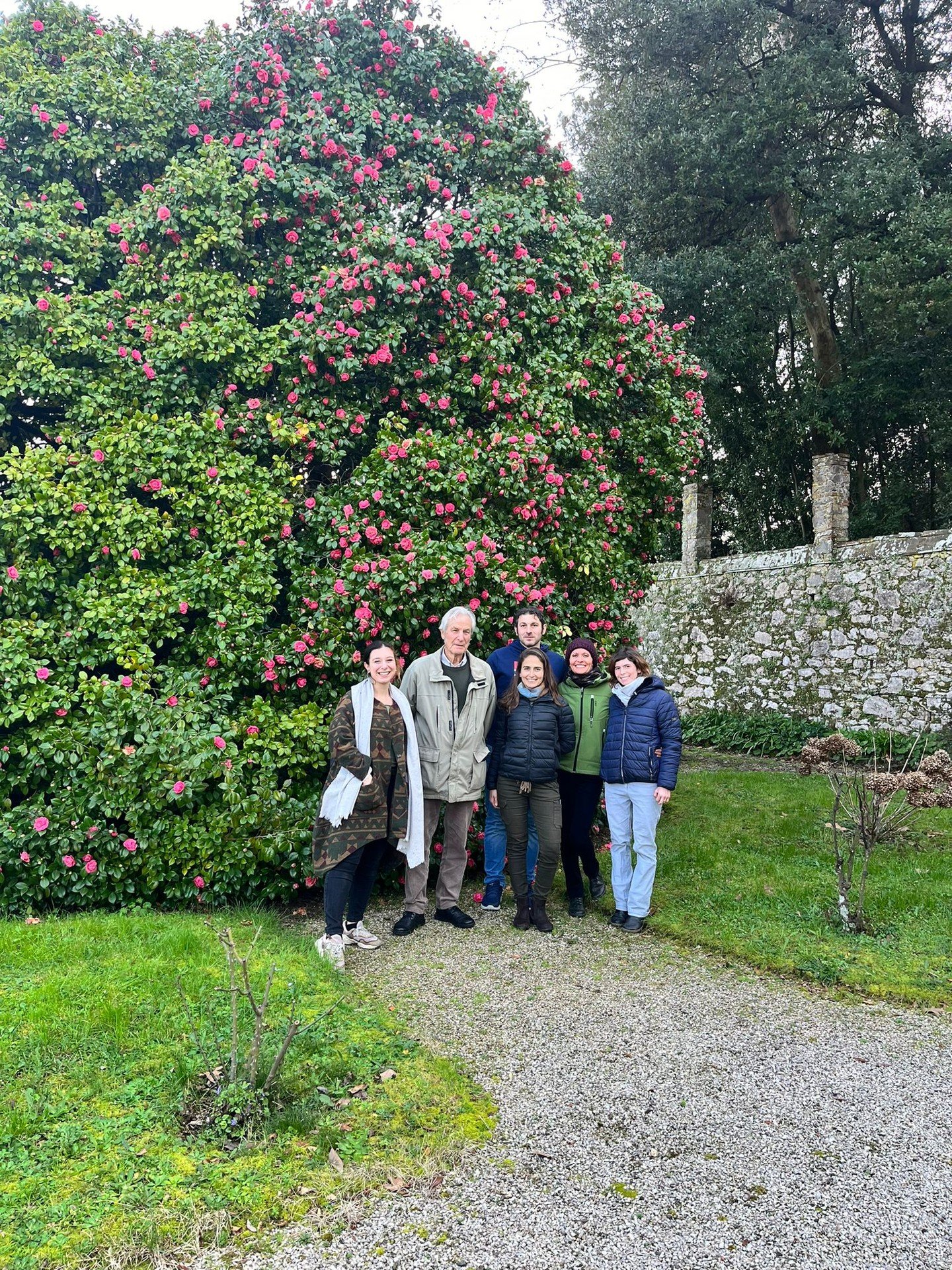Le Camelie di Villa Nardi a Lucca