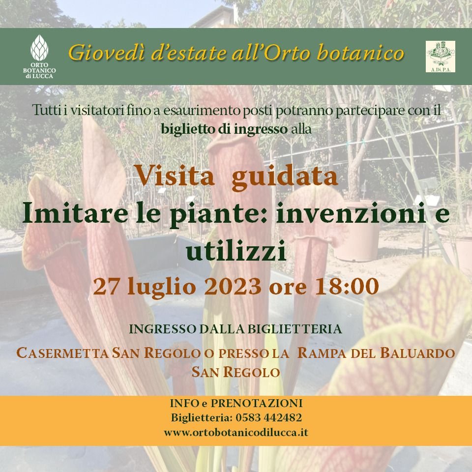 Imitare le piante: invenzioni e utilizzi – visita guidata