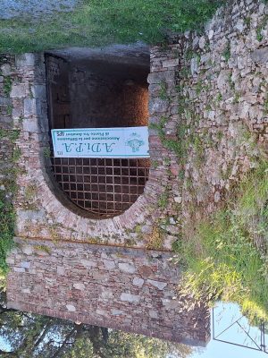 Mostra – Scambio di Primavera con A.Di.P.A. Sede Centrale