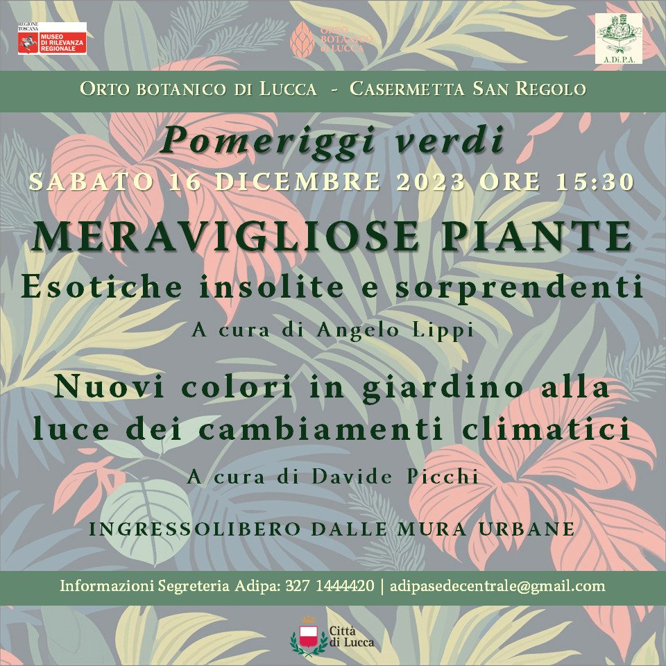 A.Di.P.A. Sede Centrale: conferenze di fine anno 2023!!!