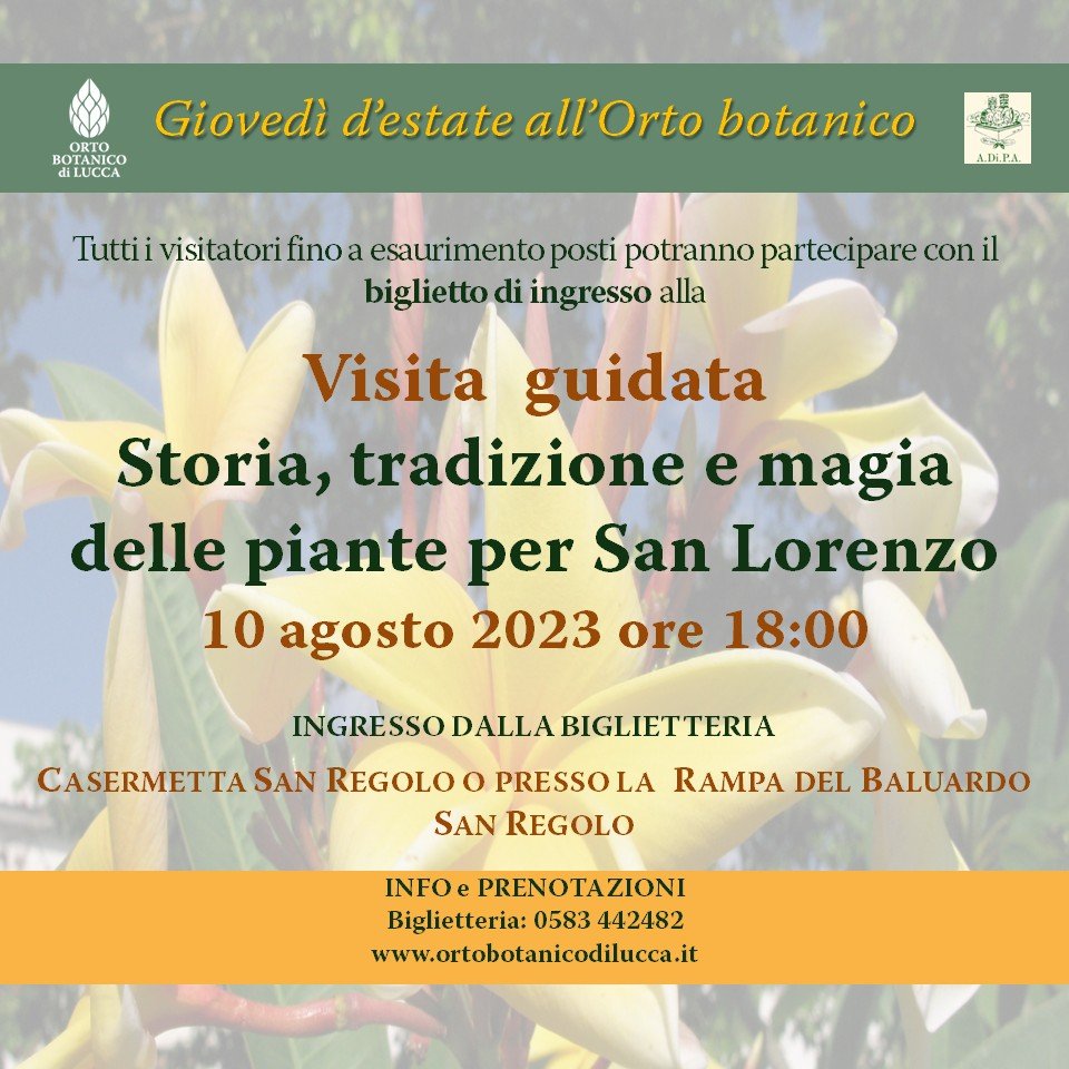 Storia, tradizione e magia delle piante per San Lorenzo – visita guidata