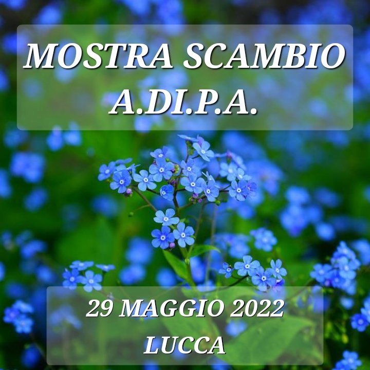 Mostra scambio 29 Maggio 2022 – Orto Botanico di Lucca