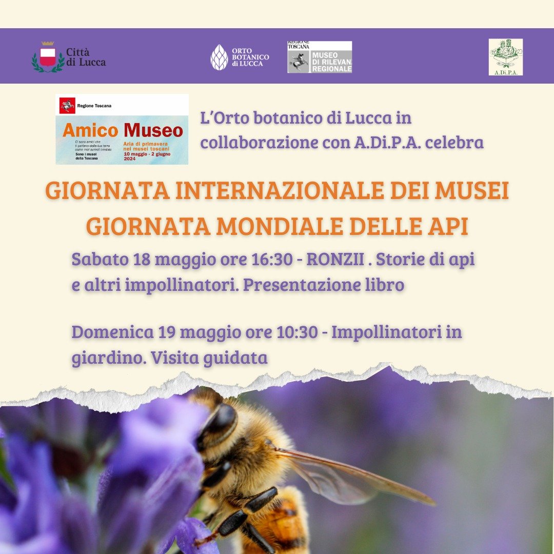 “Ronzii. Storie di api e altri impollinatori” presentazione del libro di Giovanna Olivieri