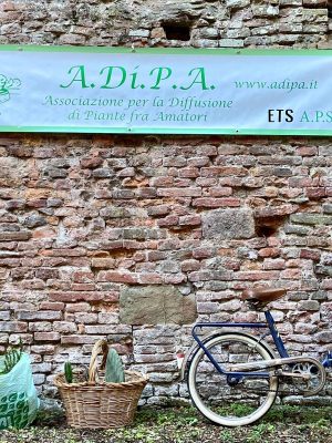 A.Di.P.A. Sede Centrale: Mostra-Scambio di autunno 2023