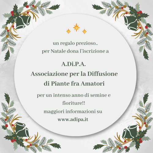 Natale con A.Di.P.A. – Regala un anno di semine e fioriture!