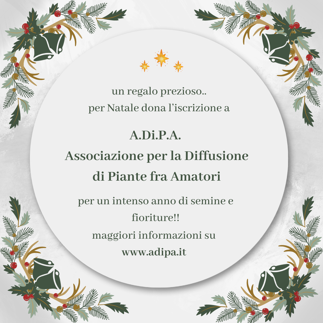 Natale con A.Di.P.A. – Regala un anno di semine e fioriture!