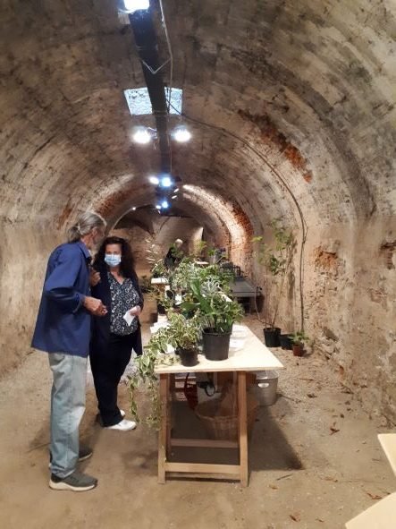 A.Di.P.A. – Mostra scambio settembre 2022 e pranzo condiviso!