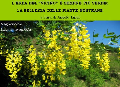 L’erba del “vicino” è sempre più verde