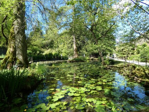Giovedì d’estate 2024: visite guidate insolite all’Orto botanico