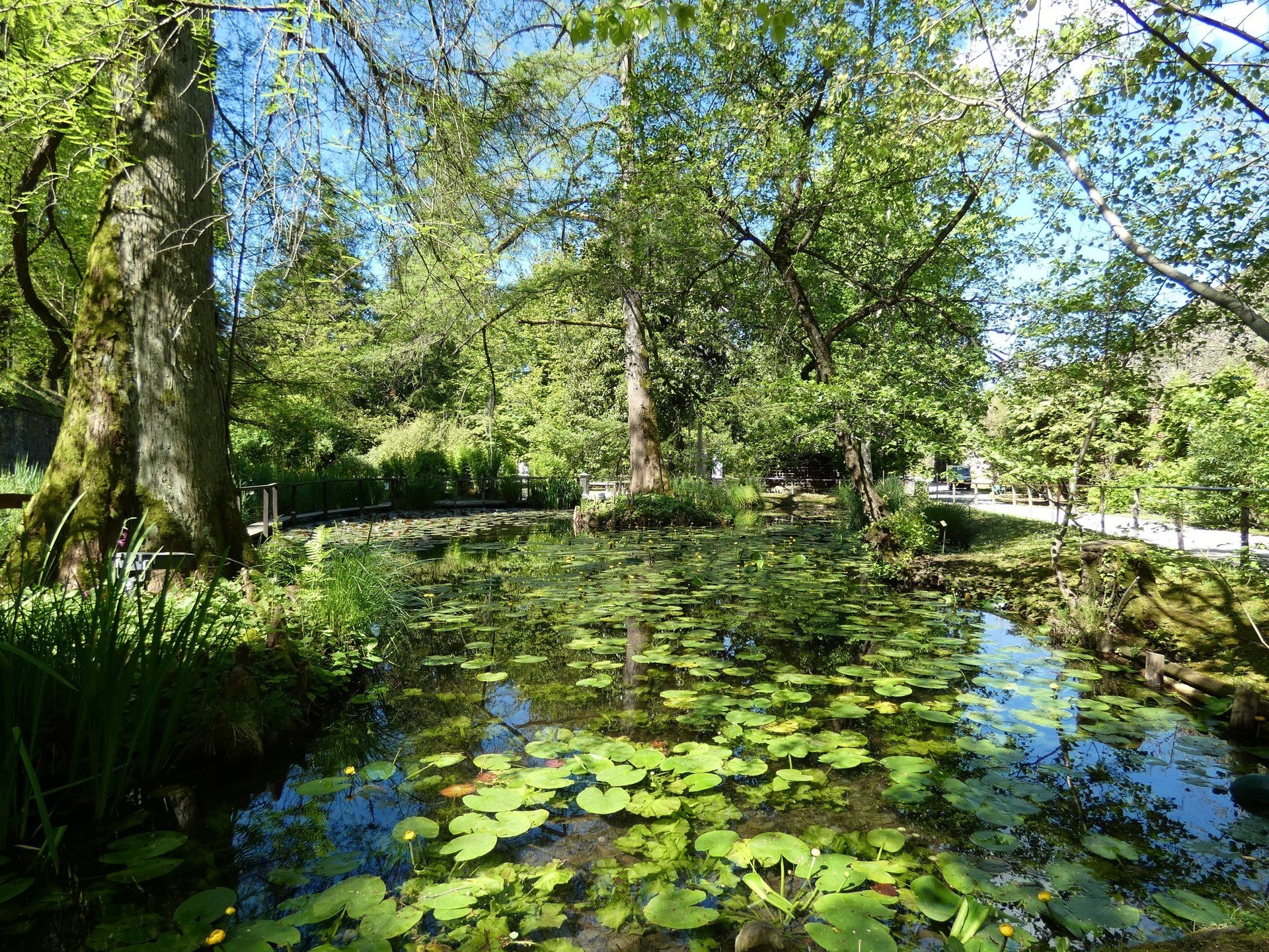 Giovedì d’estate 2024: visite guidate insolite all’Orto botanico