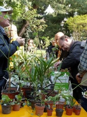 Mostra scambio 02 aprile 2023 presso la manifestazione “Di Rara Pianta”