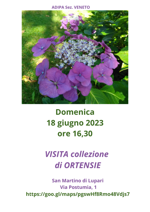 A.Di.P.A. Sezione Veneto: visita alla collezione di Ortensie a San Martino di Lupari
